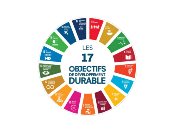 L’implication de la société aux objectifs de développement durable (ODDs) (SDGs)