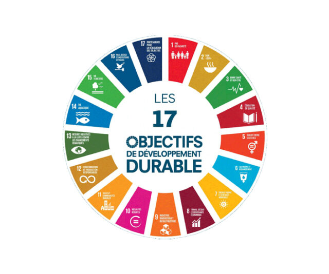 L’implication de la société aux objectifs de développement durable (ODDs) (SDGs)