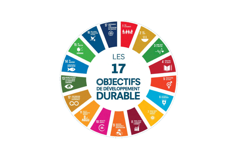 L’implication de la société aux objectifs de développement durable (ODDs) (SDGs)