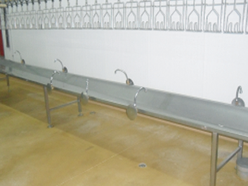 Goulette en inox
