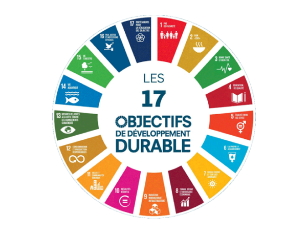 Society’s involvement in the Sustainable Development Goals (SDGs)