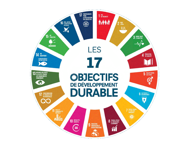 Society’s involvement in the Sustainable Development Goals (SDGs)