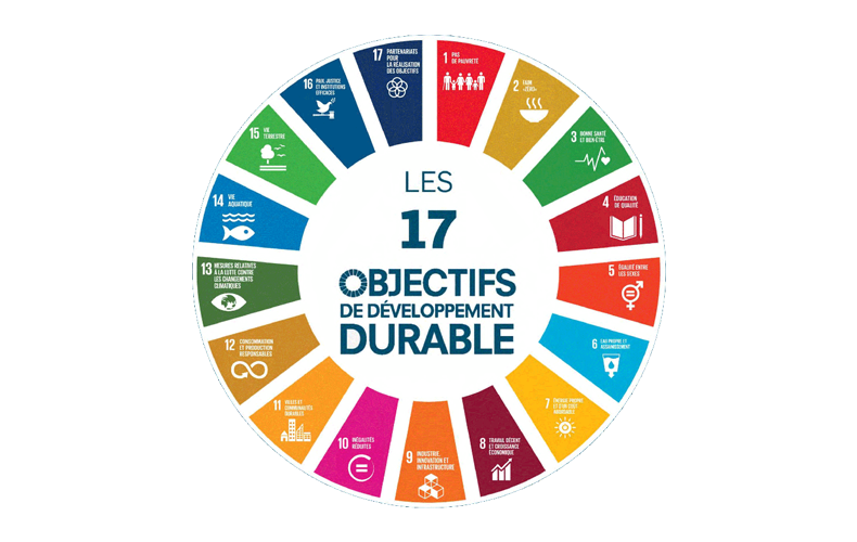 Society’s involvement in the Sustainable Development Goals (SDGs)